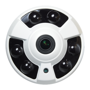 T361-2E4N1-WIDE